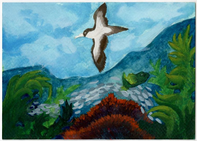 Alejandra session 2 postcard