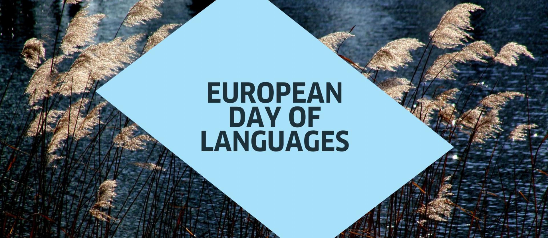 EU Day of Languages Blank Banner